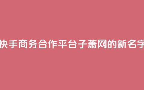 快手商务合作平台子萧网的新名字 第1张 快手商务合作平台子萧网的新名字 第1张