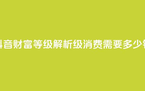 抖音财富等级解析:24级消费需要多少钱 第1张 抖音财富等级解析:24级消费需要多少钱 第1张