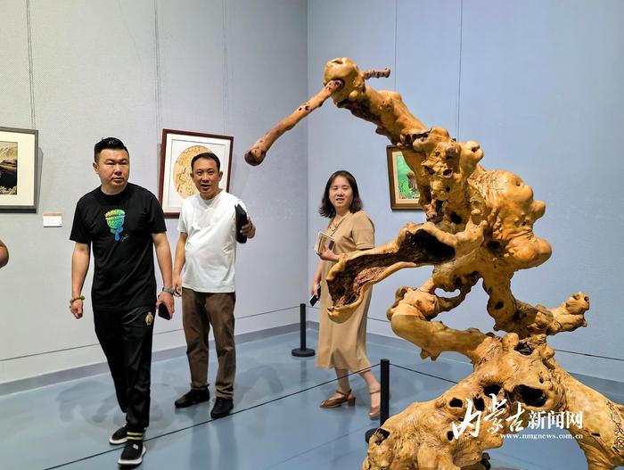 沿黄九省区民间工艺美术精品展在内蒙古美术馆开展 第4张