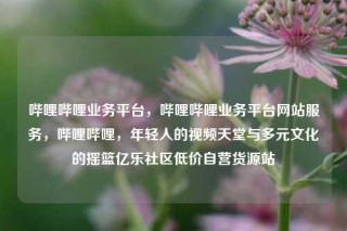 哔哩哔哩业务平台，哔哩哔哩业务平台网站服务，哔哩哔哩，年轻人的视频天堂与多元文化的摇篮亿乐社区低价自营货源站