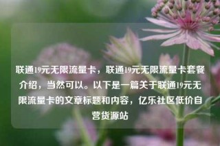 联通19元无限流量卡，联通19元无限流量卡套餐介绍，当然可以。以下是一篇关于联通19元无限流量卡的文章标题和内容，亿乐社区低价自营货源站