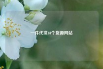 一件代发48个货源网站
