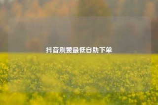 抖音刷赞最低自助下单