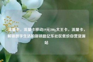 流量卡，流量卡移动19元200g大王卡，流量卡，解锁数字生活的新钥匙亿乐社区低价自营货源站