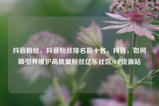 抖音粉丝，抖音粉丝排名前十名，抖音，如何吸引并维护高质量粉丝亿乐社区SUP货源站