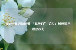 美12州起诉特朗普 “解放日” 关税：越权滥用紧急权力