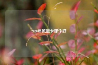 2020年流量卡哪个好