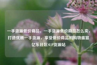 一手货源低价商品，一手货源低价商品怎么卖，打造优质一手货源，享受低价商品的购物盛宴亿乐社区SUP货源站