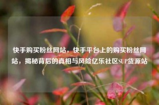 快手购买粉丝网站，快手平台上的购买粉丝网站，揭秘背后的真相与风险亿乐社区SUP货源站