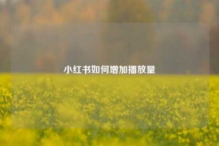 小红书如何增加播放量
