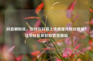 抖音刷粉丝，如何在抖音上快速提升粉丝数量？亿乐社区低价自营货源站