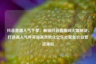 抖音直播人气下单，解锁抖音直播间火爆秘诀，打造高人气并实现高效转化亿乐社区低价自营货源站