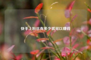 快手上粉丝有多少就可以赚钱