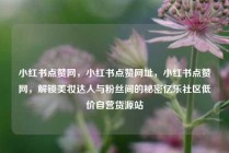 小红书点赞网，小红书点赞网址，小红书点赞网，解锁美妆达人与粉丝间的秘密亿乐社区低价自营货源站