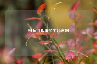 抖音创作服务平台官网