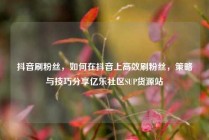 抖音刷粉丝，如何在抖音上高效刷粉丝，策略与技巧分享亿乐社区SUP货源站