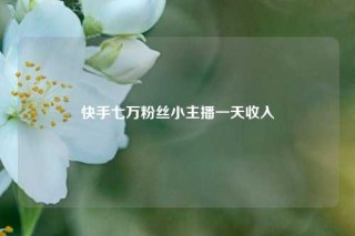 快手七万粉丝小主播一天收入