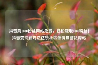 抖音刷1000粉丝网站免费，轻松赚取1000粉丝！抖音变现新方法亿乐社区低价自营货源站