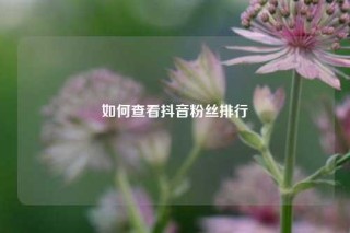 如何查看抖音粉丝排行