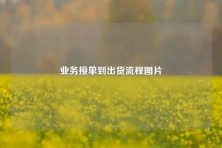 业务接单到出货流程图片