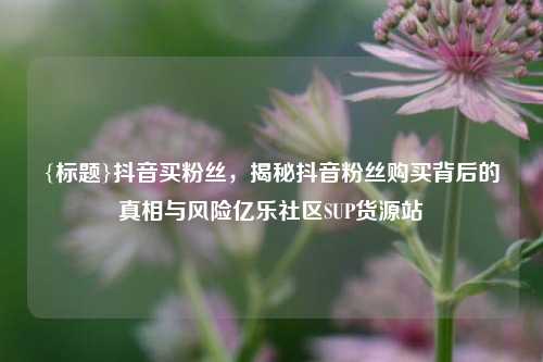 {标题}抖音买粉丝，揭秘抖音粉丝购买背后的真相与风险亿乐社区SUP货源站  第1张