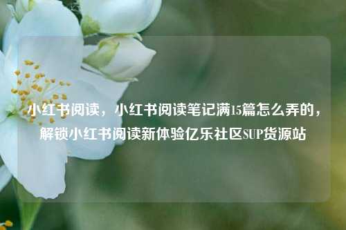 小红书阅读，小红书阅读笔记满15篇怎么弄的，解锁小红书阅读新体验亿乐社区SUP货源站  第1张