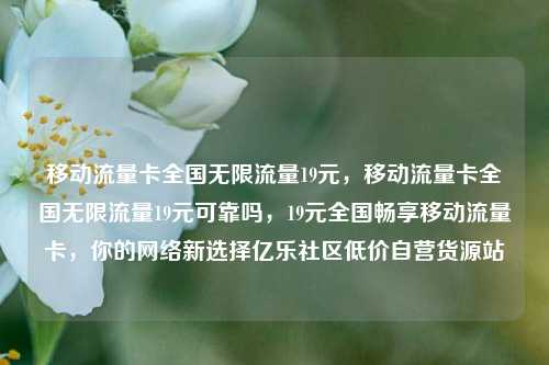 移动流量卡全国无限流量19元	，移动流量卡全国无限流量19元可靠吗，19元全国畅享移动流量卡，你的网络新选择亿乐社区低价自营货源站  第1张