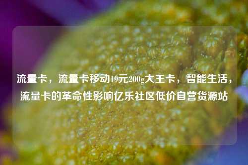 流量卡，流量卡移动19元200g大王卡	，智能生活，流量卡的革命性影响亿乐社区低价自营货源站  第1张