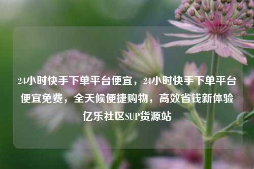 24小时快手下单平台便宜	，24小时快手下单平台便宜免费，全天候便捷购物，高效省钱新体验亿乐社区SUP货源站  第1张