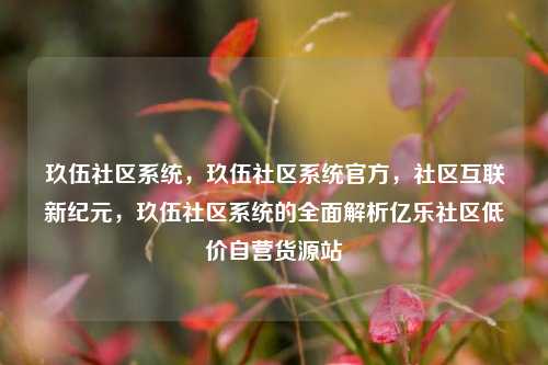 玖伍社区系统	，玖伍社区系统官方，社区互联新纪元，玖伍社区系统的全面解析亿乐社区低价自营货源站  第1张