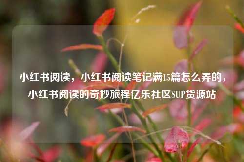 小红书阅读	，小红书阅读笔记满15篇怎么弄的，小红书阅读的奇妙旅程亿乐社区SUP货源站  第1张