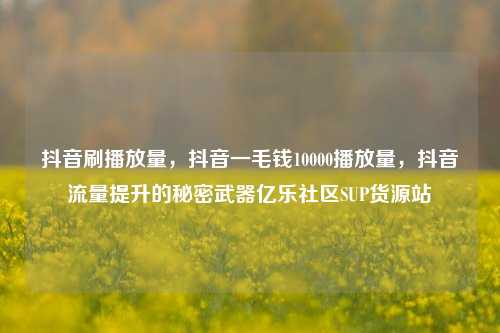 抖音刷播放量，抖音一毛钱10000播放量，抖音流量提升的秘密武器亿乐社区SUP货源站  第1张