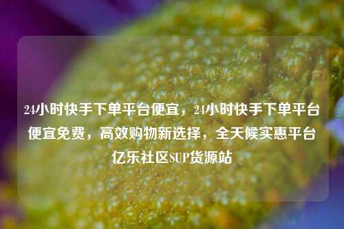 24小时快手下单平台便宜	，24小时快手下单平台便宜免费，高效购物新选择，全天候实惠平台亿乐社区SUP货源站  第1张