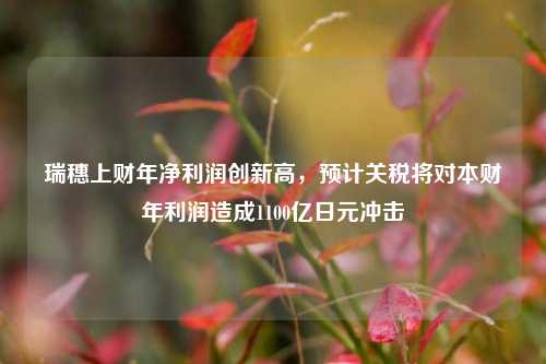 瑞穗上财年净利润创新高	，预计关税将对本财年利润造成1100亿日元冲击  第1张