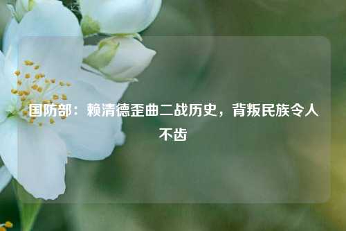 国防部：赖清德歪曲二战历史，背叛民族令人不齿  第1张