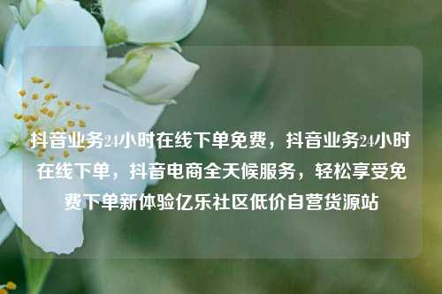抖音业务24小时在线下单免费	，抖音业务24小时在线下单，抖音电商全天候服务，轻松享受免费下单新体验亿乐社区低价自营货源站  第1张