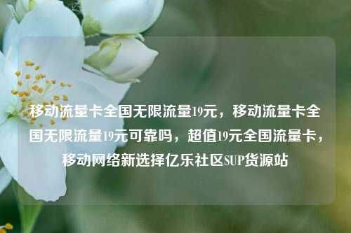 移动流量卡全国无限流量19元，移动流量卡全国无限流量19元可靠吗，超值19元全国流量卡	，移动网络新选择亿乐社区SUP货源站  第1张