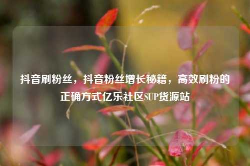 抖音刷粉丝，抖音粉丝增长秘籍	，高效刷粉的正确方式亿乐社区SUP货源站  第1张