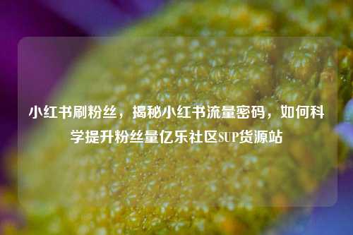 小红书刷粉丝，揭秘小红书流量密码	，如何科学提升粉丝量亿乐社区SUP货源站  第1张