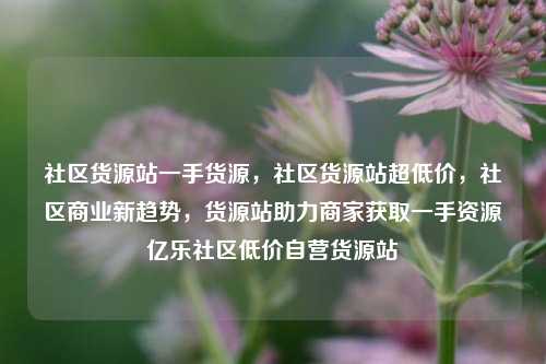社区货源站一手货源，社区货源站超低价，社区商业新趋势	，货源站助力商家获取一手资源亿乐社区低价自营货源站  第1张