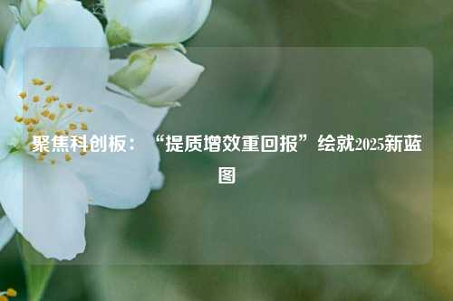 聚焦科创板：“提质增效重回报”绘就2025新蓝图  第1张