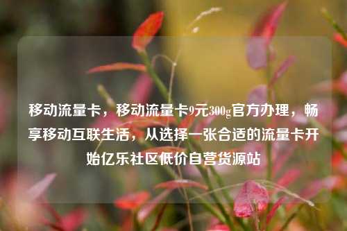 移动流量卡，移动流量卡9元300g官方办理，畅享移动互联生活	，从选择一张合适的流量卡开始亿乐社区低价自营货源站  第1张