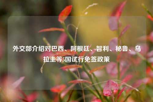 外交部介绍对巴西、阿根廷、智利	、秘鲁、乌拉圭等5国试行免签政策  第1张