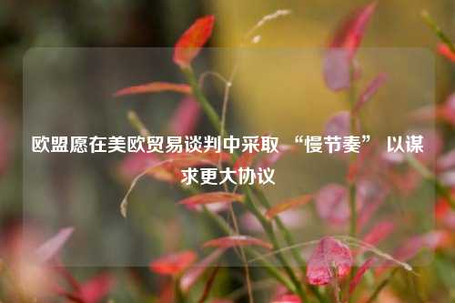 欧盟愿在美欧贸易谈判中采取 “慢节奏” 以谋求更大协议  第1张