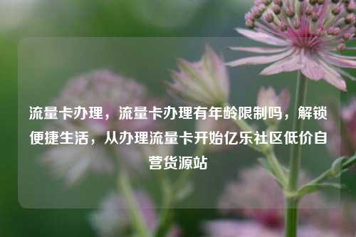 流量卡办理，流量卡办理有年龄限制吗	，解锁便捷生活，从办理流量卡开始亿乐社区低价自营货源站  第1张