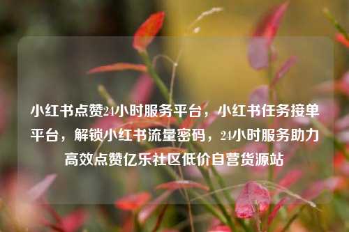 小红书点赞24小时服务平台，小红书任务接单平台	，解锁小红书流量密码，24小时服务助力高效点赞亿乐社区低价自营货源站  第1张