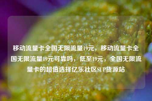 移动流量卡全国无限流量19元，移动流量卡全国无限流量19元可靠吗，低至19元，全国无限流量卡的超值选择亿乐社区SUP货源站  第1张