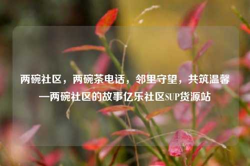 两碗社区，两碗茶电话	，邻里守望，共筑温馨—两碗社区的故事亿乐社区SUP货源站  第1张