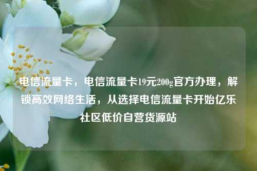 电信流量卡，电信流量卡19元200g官方办理，解锁高效网络生活，从选择电信流量卡开始亿乐社区低价自营货源站  第1张