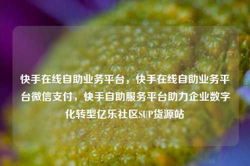快手在线自助业务平台	，快手在线自助业务平台微信支付，快手自助服务平台助力企业数字化转型亿乐社区SUP货源站  第1张